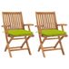 Maison Exclusive - Chaise pliante (lot de 2) avec coussins vert vif, en bois de teck massif