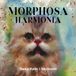 Hit Thing Thomas Wydler & Toby Dammit - Morphosa Harmonia (LP) (Remastered) (Édition Deluxe Limitée)