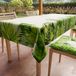 PETTI Artigiani Italiani - Tafelkleed Vlekbestendig Vierkant 140x140 cm 4 Personen, Afwasbaar Keukentafelkleed van Microvezel, Design Tropical 05 Groene Bladeren, 100% Made in Italy