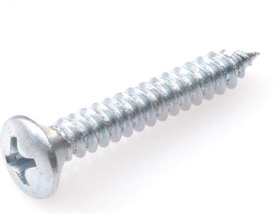 Hoenderdaal Fasteners Hoenderdaal Plaatschroef Lk Philips Verzinkt 2.9x19mm - 200 stuks