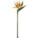 Strelitzia Arabica artificiel H 62 cm Oiseau du Paradis tête latex