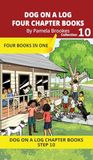 Four Chapter Books 10: Decodable Series for Students Learning to Read. For Developing Readers and Students with Dyslexia. (Step 10-Open Syllables, "Y" as Long "I," Advancing Two-Syllable Words)