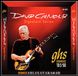 GHS GBDGG David Gilmour Signature Boomers Guitar Strings