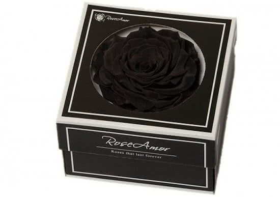 Regioboeket.nl Zwarte rozen kop XXL geconserveerd in cadeaubox