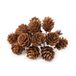 Mopec NF1 verpakking met 12 dennenappels, 8 x 12,5 x 7 cm, bruin