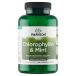 Swanson Chlorophyllin & Mint, chlorophylle à la menthe, 500 comprimés à croquer