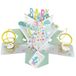 Tweede Natuur Baby Douche Pop Up Card