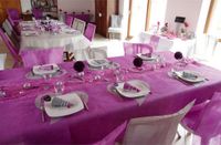 Santex Tafelkleed op rol - non woven polyester - fuchsia roze - 120 cm x 10 m