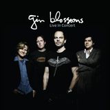 Sonic Rendezvous Gin Blossoms - Live In Concert (CD)