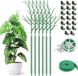 Shenzhen Haorui Industrial Technology Co., Ltd. Poteaux de support de plantes détachables 70 cm - Set de 6 avec clips orchidée, attaches torsadées et liens pour plantes