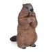 Papo - Realistische marmotfiguur - 3 jaar en ouder - Wilde dieren collectie - Educatief spel bergfauna - Cadeau-idee speelgoed voor meisjes en jongens