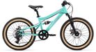 Bikestar VTT enfant Fully Acier 7 vitesses 20 pouces vert menthe