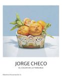 Jorge Checo: El color de lo tangible (Special Edition)