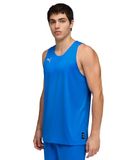 PUMA teamJAWS Omkeerbare Jersey