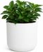 EDA Bloempot / plantenpot Graphit - rond - kunststof - creme wit - D49 x H46 cm - binnen en buiten