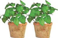 True to Nature Esschert Design Kunstplant/kruiden basilicum - 2x - in oude terracotta pot - 15 cm - kruiden