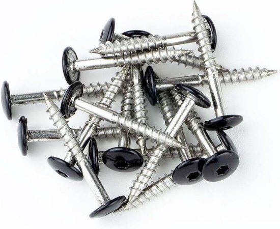 Dak&Gevel Kleurkopschroef 4.8 x 38 mm - RVS-A2 - zwart RAL9005 - TX20 (Per 50 stuks)