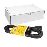Contitch Continental Contitech 6PK2310 V-riem
