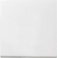 Gira 029627 - Accessoires elektrische schakelaar - wit - IP44