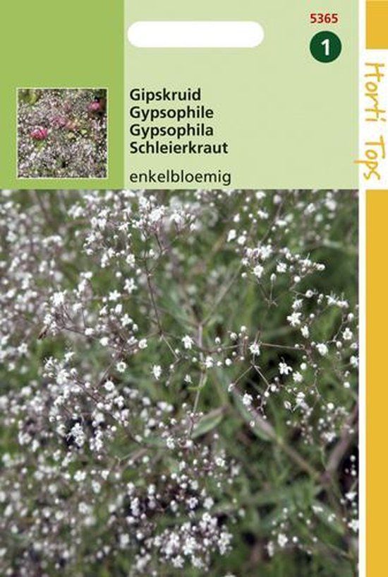 Hortitops Zaden - Gypsophila Panic. Enkelbl. Wit