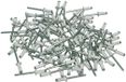 Cora 000116016 Set 100 rivets pour fixation de plaques d'immatriculation, blanc