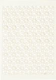 Creotime Cartes à motifs 10 pièces 10,5 X 14,8 cm Crème