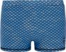 Protest Prtbilly Zwemboxer Heren Raku Blue