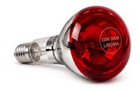 LIROMA® Infraroodlamp 300W - Losse Vervangingslamp - Infrarood Warmtelamp / Infraroodstraler - voor Enkele en Dubbele Kop - IR-A warmte