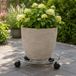 Kinzo Support de plantes sur roulettes – Rouleur pour plantes intérieur ou extérieur – Ø29 cm