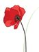 Mini Piccadilly Greetings Mini Lege Kaart Blank - 80 x 110 mm