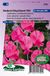 Sluis Garden Reukerwt King Edward the 7th 1903 (Lathyrus)