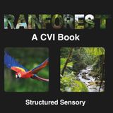 CVI Rainforest Book: High Contrast Book for Visual Impairment