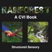 CVI Rainforest Book: High Contrast Book for Visual Impairment