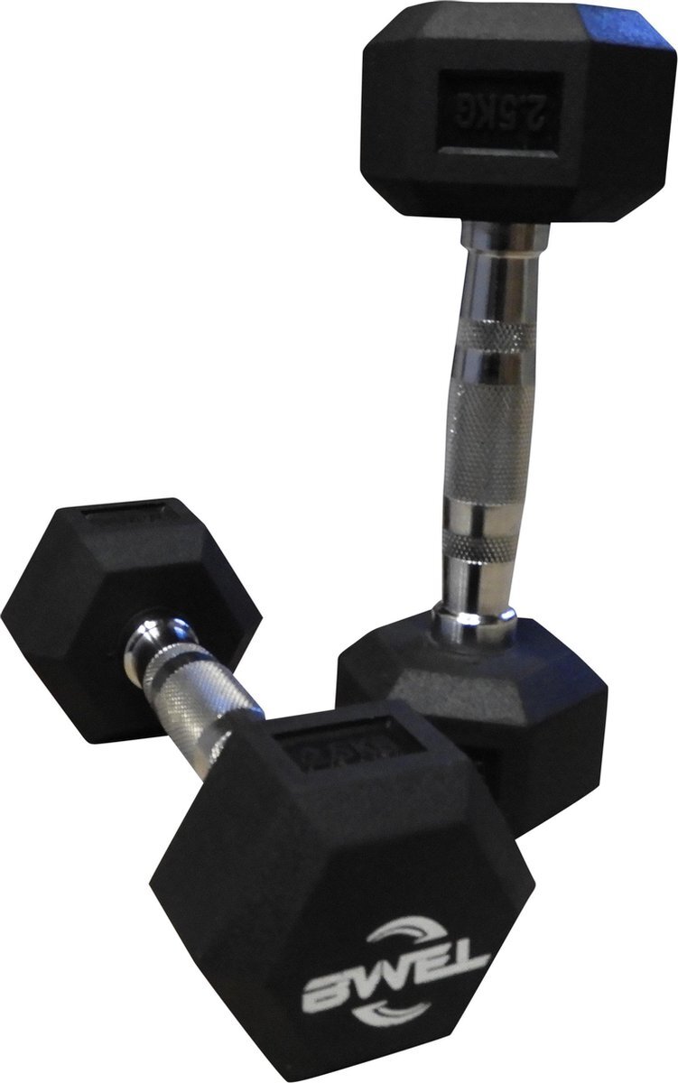 BWEL Hex dumbbells 2,5kg