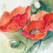 Marta Peuckert Impression d'art - Coquelicots 21x21cm
