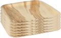 Merkloos / Sans marque Conpax Wegwerp servies - borden - vierkant - 24x stuks - 25 x 25 cm - biologisch/composteerbaar - milieubewust
