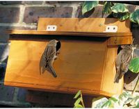 CJ Wildlife Nestkast voor de Mus - 34mm - Nestkastje voor meedere Vogelnestjes - Houten Vogelhuisje - FSC-gecertificeerd
