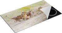 Chefcare Inductie Beschermer Drie Leeuwen Welpen in het Gras - 95x55 cm - Multicolor
