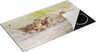 Chefcare Inductie Beschermer Drie Leeuwen Welpen in het Gras - 95x55 cm - Multicolor