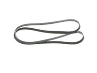 BOSCH 1987946042 V-riem