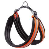 Ferplast Agila Reflex 4 tuigje, oranje