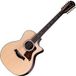 Taylor Guitars Taylor 454ce Next Generation