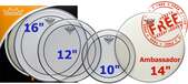 Remo ProPack Pinstripe Clear Drumhead Set - 10" 12" 16" + Free 14" Ambassador Coated