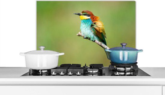 KitchenYeah Spatscherm keuken 60x40 cm - Vogel - Aluminium