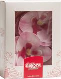 Dekora – 10 eetbare roze orchideeën van wafelpapier 8,5 x 7,5 cm – bloemendecoratie voor taarten, cupcakes en desserts – glutenvrij, lactosevrij, geschikt voor vegetariërs – zonder smaak