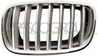 PRASCO Kühlergitter BM8222014 links | Compatibel met: BMW X5