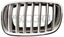 PRASCO Kühlergitter BM8222014 links | Compatibel met: BMW X5