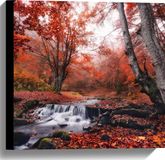 Merkloos / Sans marque Take your time Canvas - Bos met Stromend Water en Roodkleurige Bladeren - 40x40 cm Foto op Canvas Schilderij