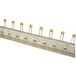 TANCAP CT4-0805B103K101A1T Condensateur céramique THT 10 nF 100 V 10 % (l x h) 4.2 mm x 25 mm 1 pièce