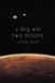 a Libri GmbH A sky with two moons